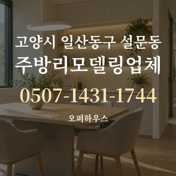 고양시 일산동구 설문동 주방리모델링업체 대표 안내 그래픽