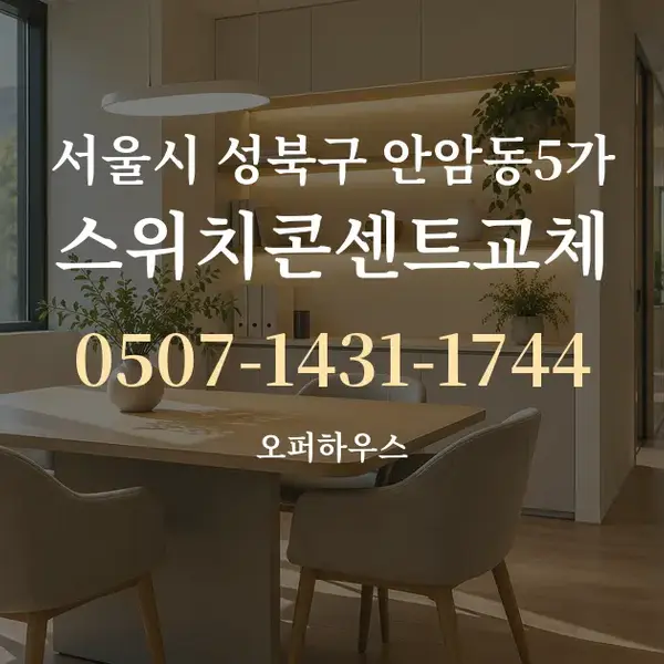 서울시 성북구 안암동5가 스위치콘센트교체 대표 안내 그래픽