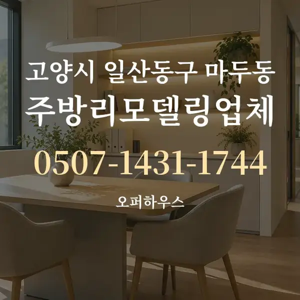 고양시 일산동구 마두동 주방리모델링업체 대표 안내 그래픽