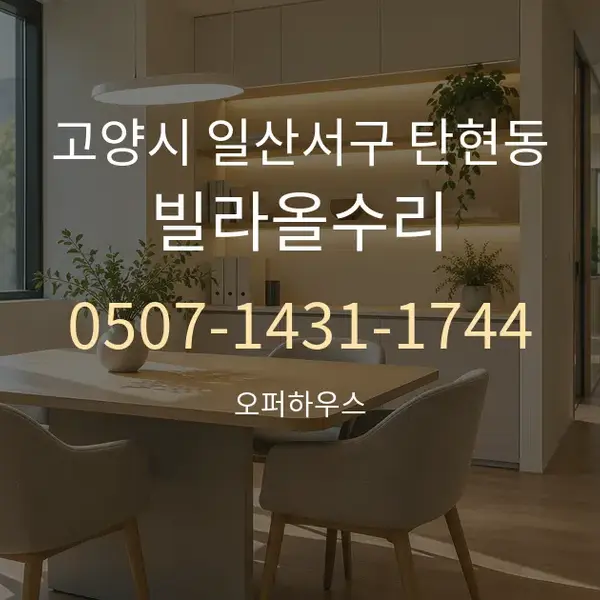 고양시 일산서구 탄현동 빌라올수리 대표 안내 그래픽