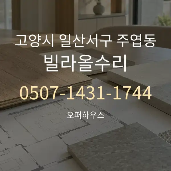 고양시 일산서구 주엽동 빌라올수리 대표 안내 그래픽